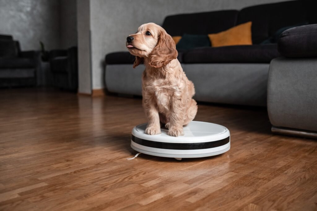 A small dog sitting on top of a robot vacuum cleaner in a cozy living room with wooden floors.